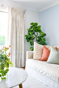 Our client's brief was for this space to have colour and character to give a relaxed coastal vibe. Custom made curtains in Arteko Fenton Natural sitting against Lamb's Wool low sheen wall by Wattyl, deliver a relaxed vibe softening the look of the Devon Blue by Wattyl feature wall, together with contrasting custom cushions in Unique Fabric's Chivasso rust and sage. The floor rug adds a layer of texture and comfort with its subtle pattern complementing the space. The earthy colours of rust and sage were chosen to reflect the Australian landscape. The Alley Coffee Table adds an element of interest with the marble finish and wooden legs together with the Miguel Brown Recycled Glass Vase with Wax Berry Stems and Fern. The Fiddle Leaf fig gives height to the corner giving a feeling of balance and harmony in the space. The Kandos Sofa in Natural from Provincial Home Living adds comfort and gives a welcoming feeling. 