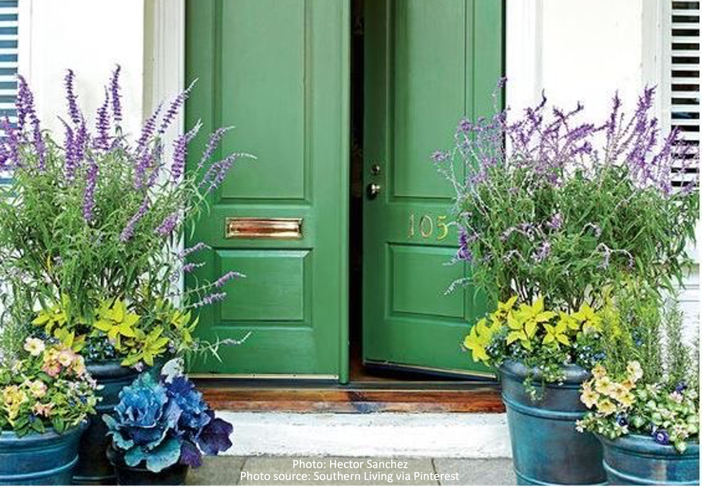 Green front door with green blue pots with lavender